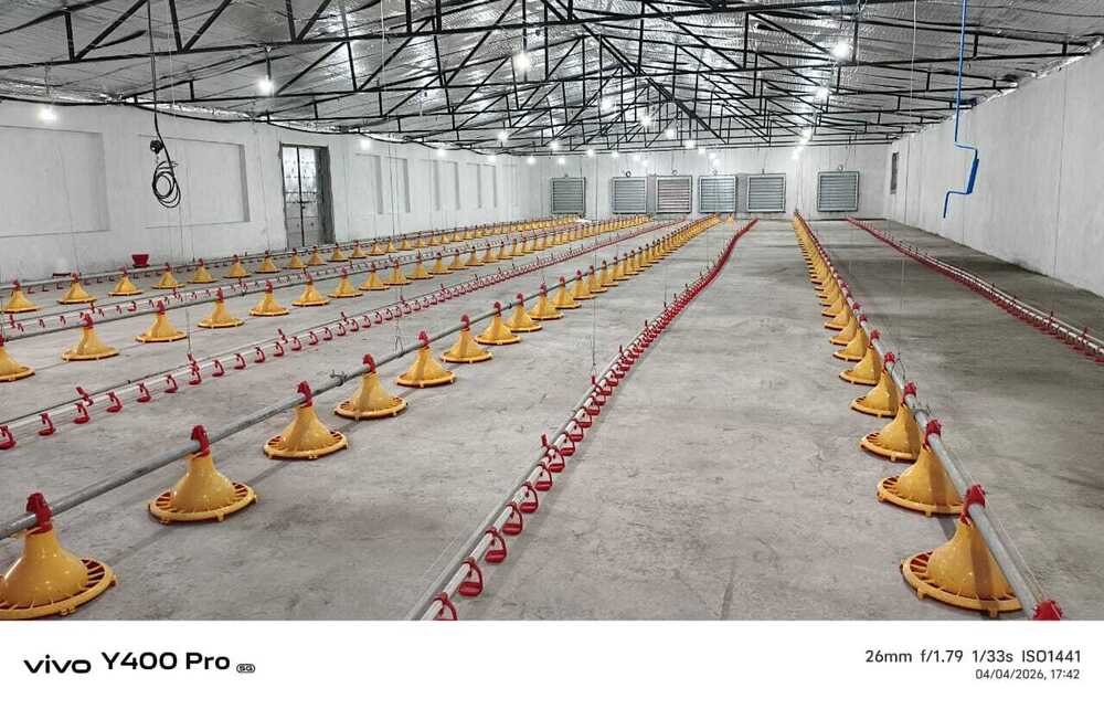 Poultry Nipple Drinking System