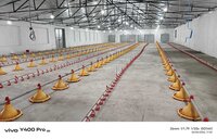 Poultry Nipple Drinking System
