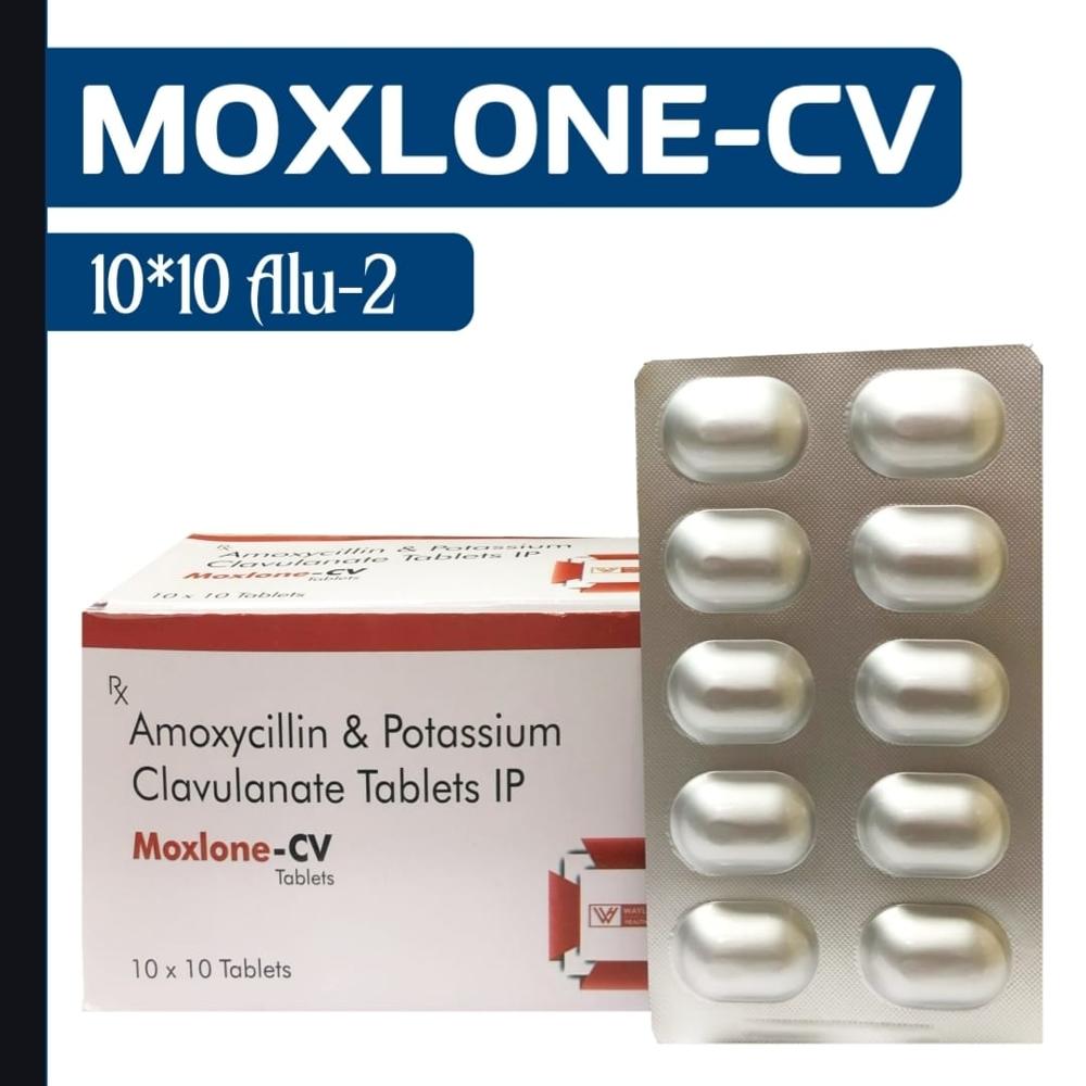 MOXLONE- CV