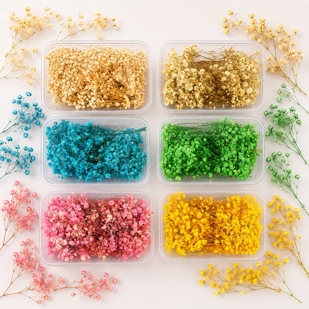 Dried Baby's Breath Flowers