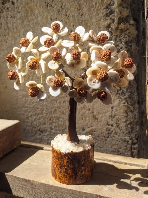 Crystal Gomti Rudrask Tree - Size: 5-6 Inch