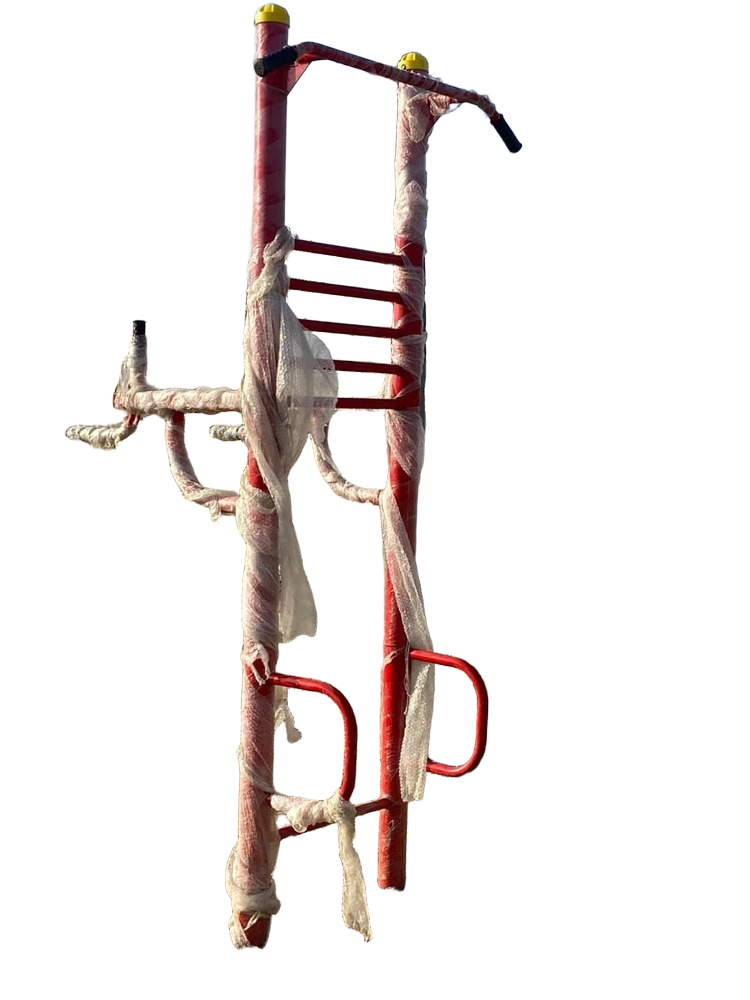 Outdoor Chin Up Station