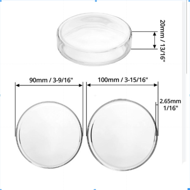 90mm Petri Dish