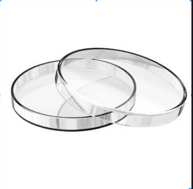 90mm Petri Dish