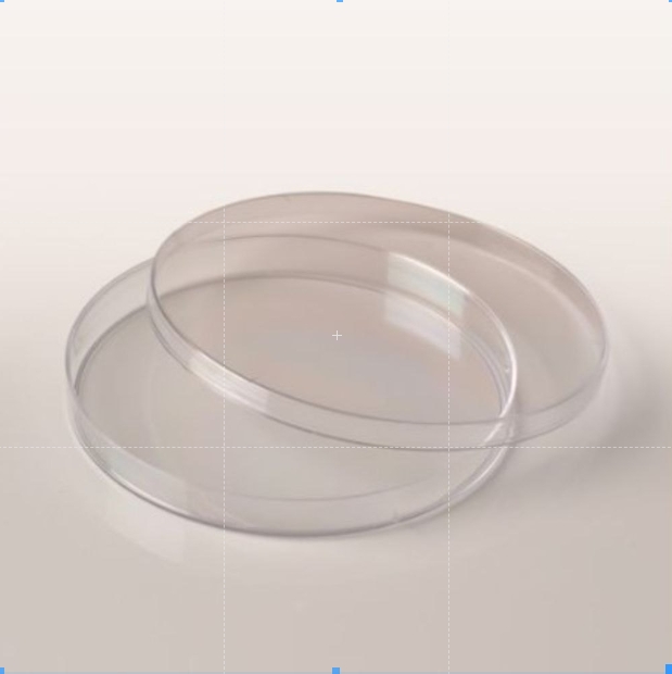 90mm Petri Dish