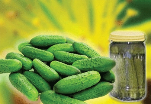 घेरकिन्स