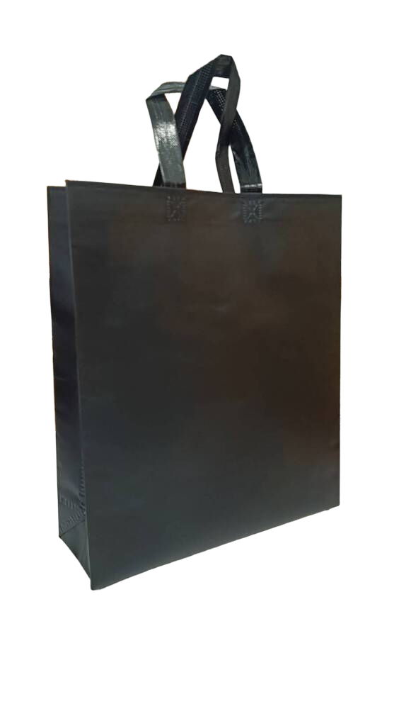 Non woven Bopp Lidder bag