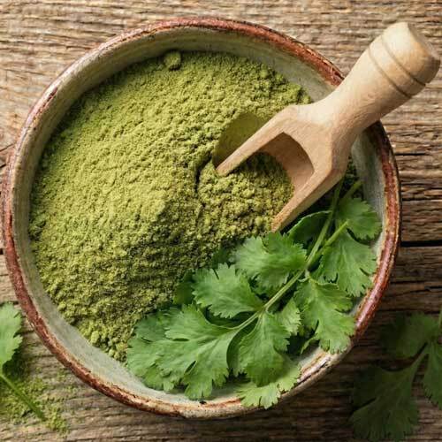 Coriander Leaves Powder