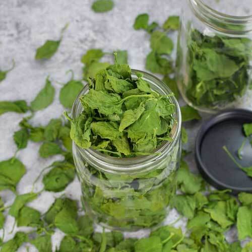 Spinach Leaves
