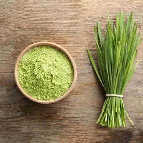 Barley Grass Powder