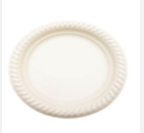 Paper Disposal Plate