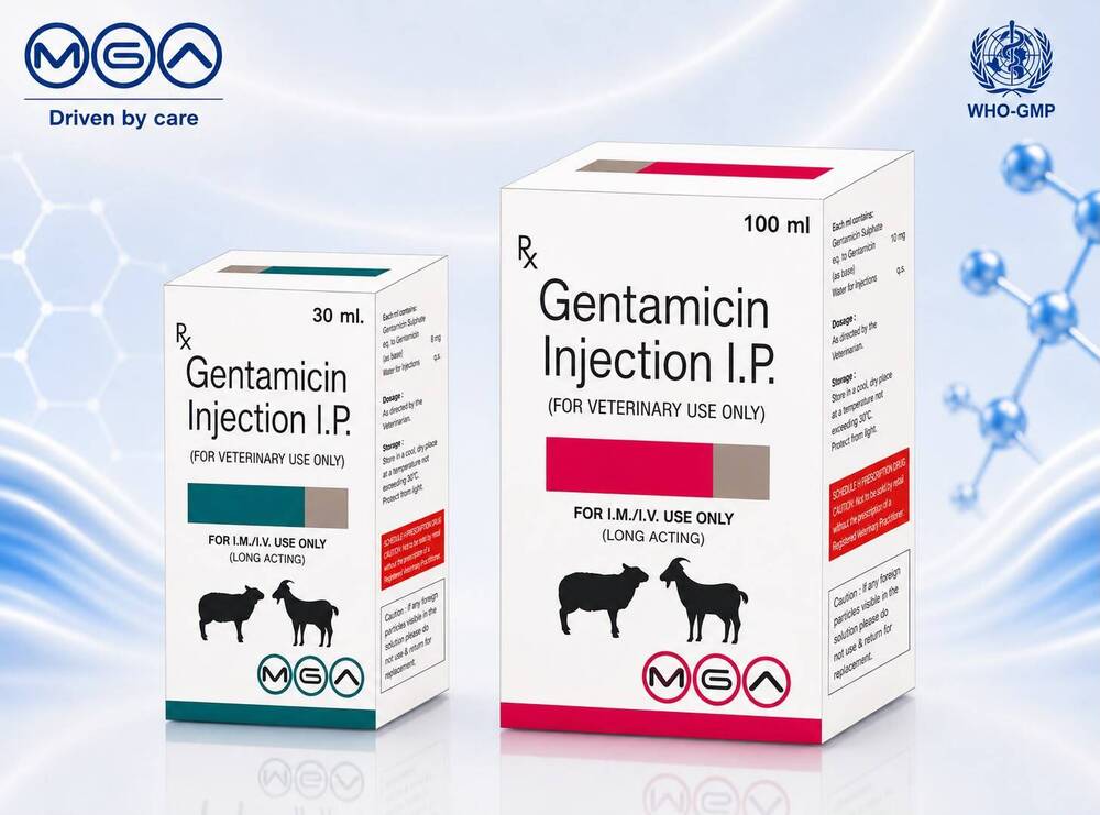 Gentamicin Injection I.P.