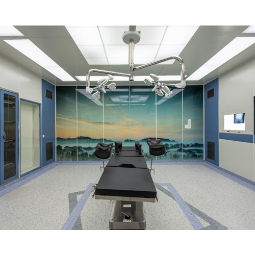 Graphic Printed Panel
