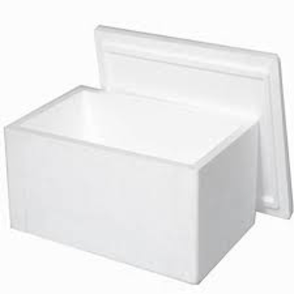 Thermocol Molded Box