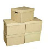 Carton Archive Boxes