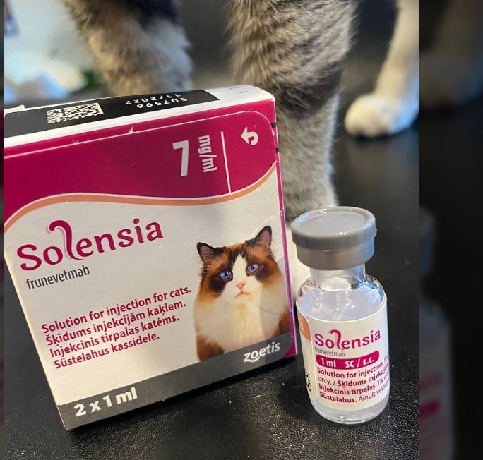 Solensia 7 mg/ml Solution for Injection for Cats