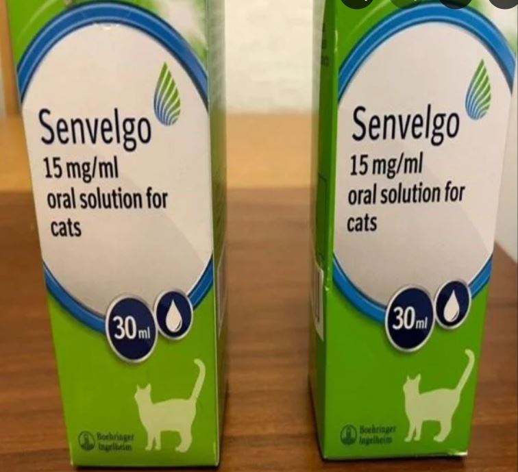 Senvelgo Oral Solution for Cats 15mg/ml