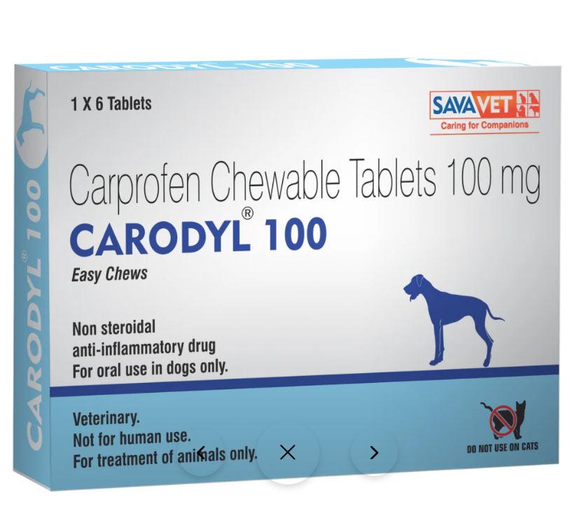 Carodyl 100 Carprofen Tablet for Dogs