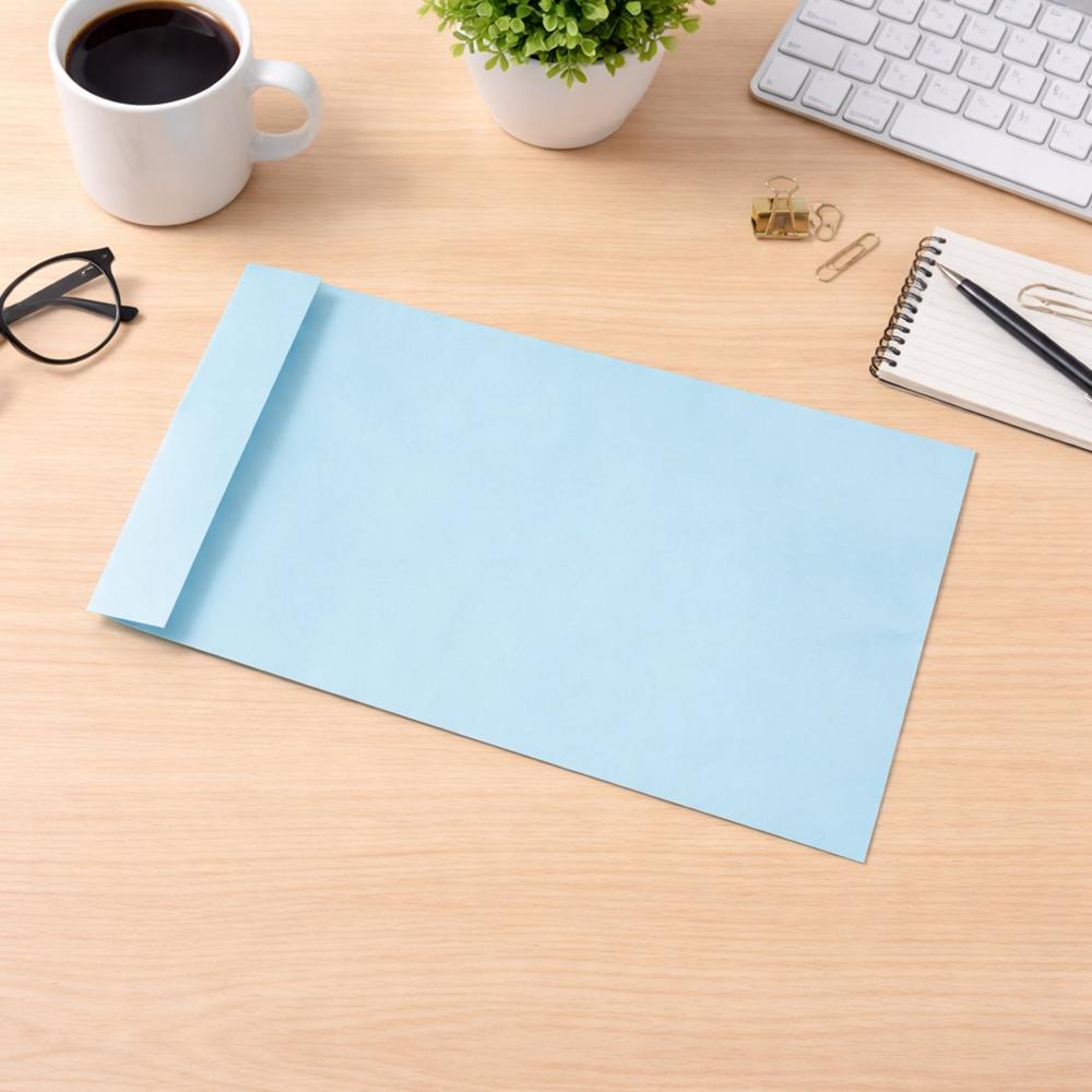 Clothline Premium Extra Large Card Envelope (41X30Cm 1 Pc) - Application: As Per Product Requirement