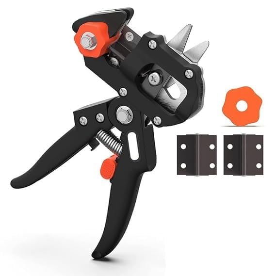 Garden Grafting & Pruning