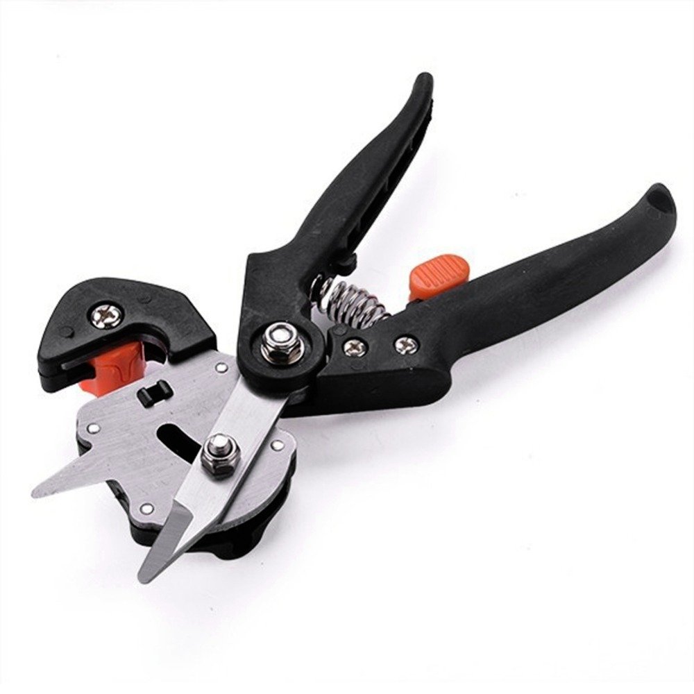 Garden Grafting & Pruning