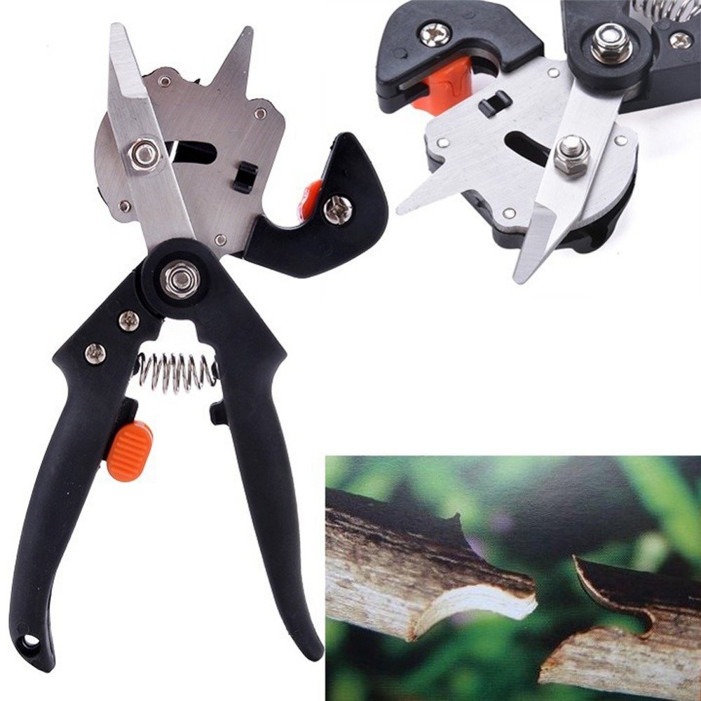 Garden Grafting & Pruning