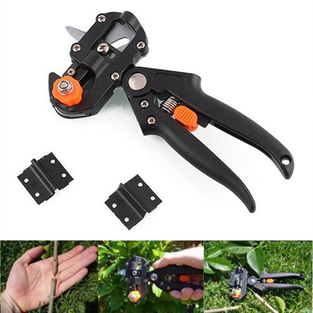 Garden Grafting & Pruning