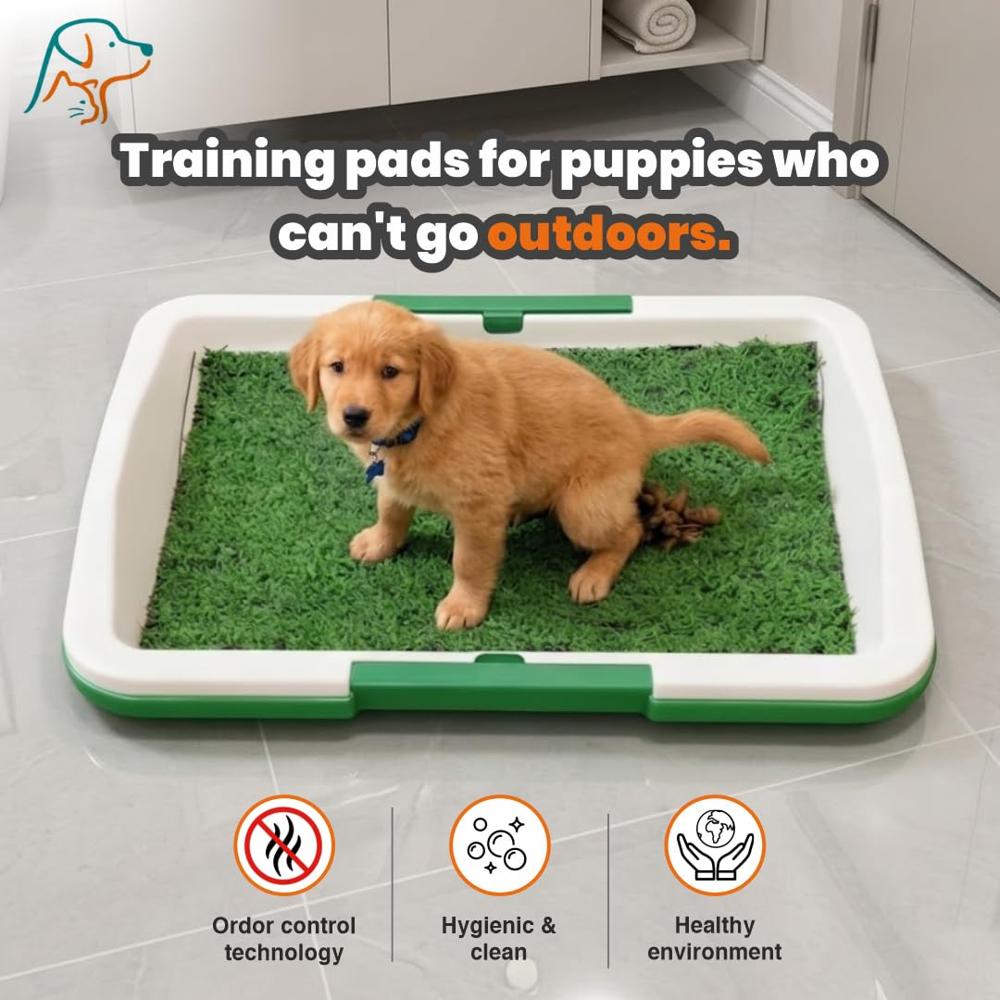Puppy Potty Training Pad