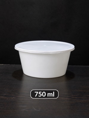 2000 ML Plastic Food Packaging Container
