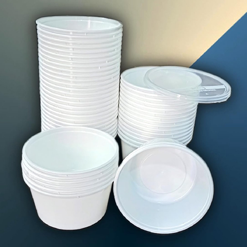 Disposable Plastic Container