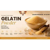 Gelatin Powder