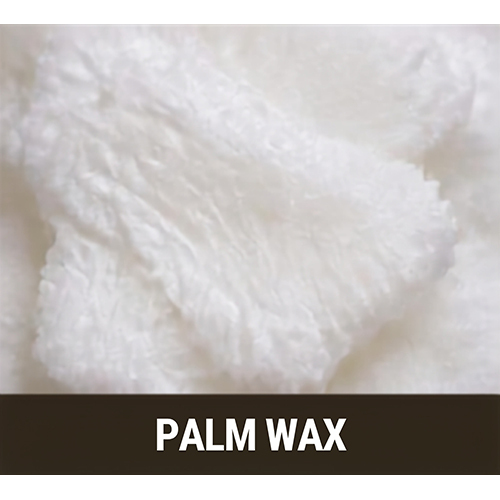 Palm Wax