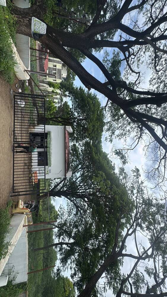Chain Link Fencing with Gate