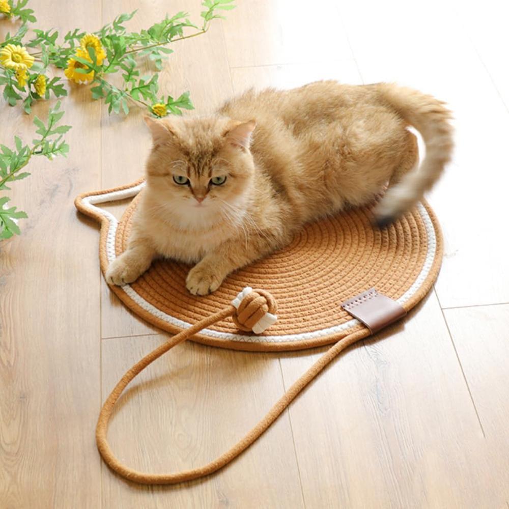 Cat Scratcher Mat