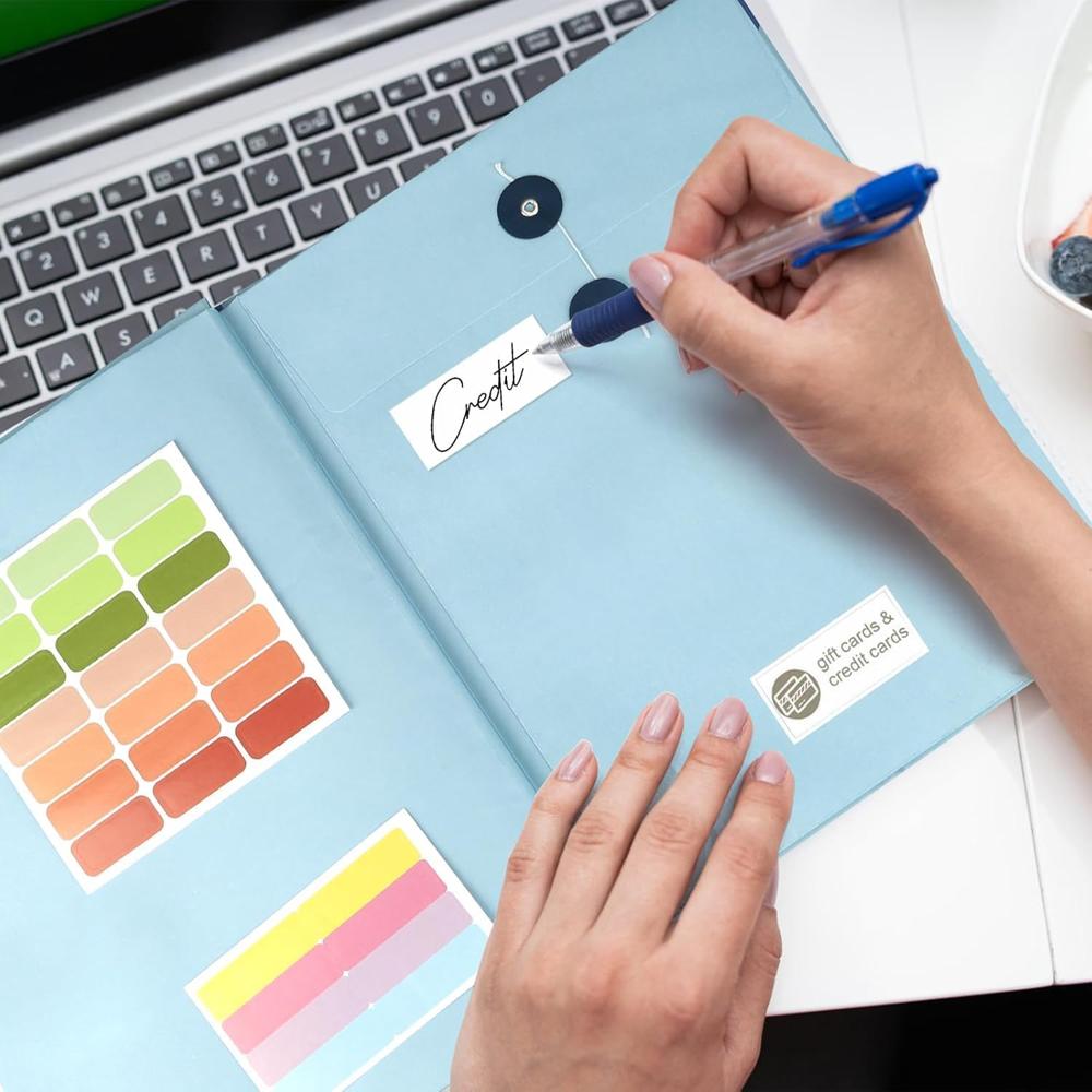 DOCUMENT ORGANIZER BLUE