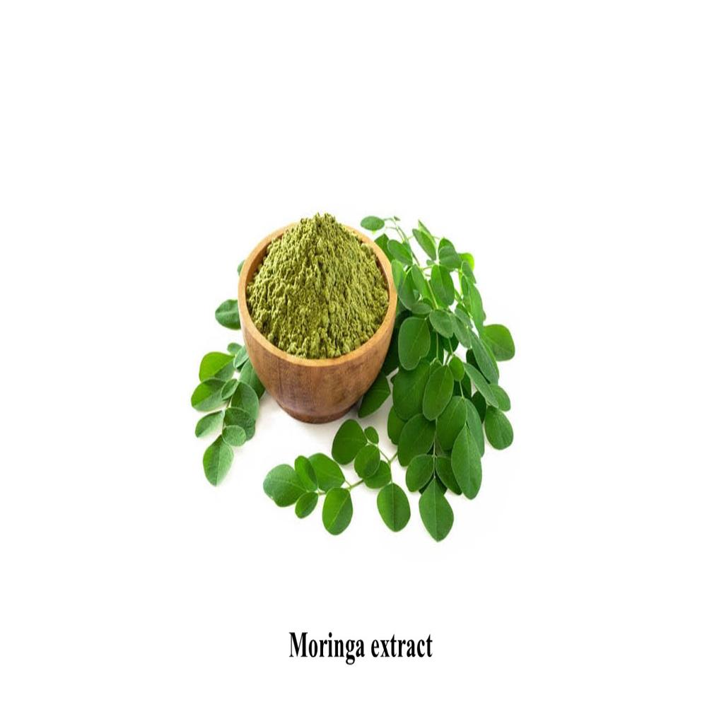 Moringa extract 20%