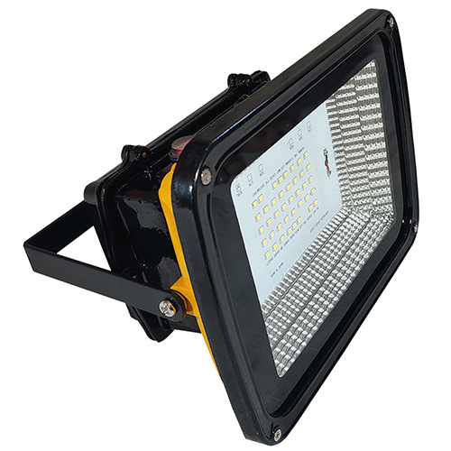 Emergency Backup Light