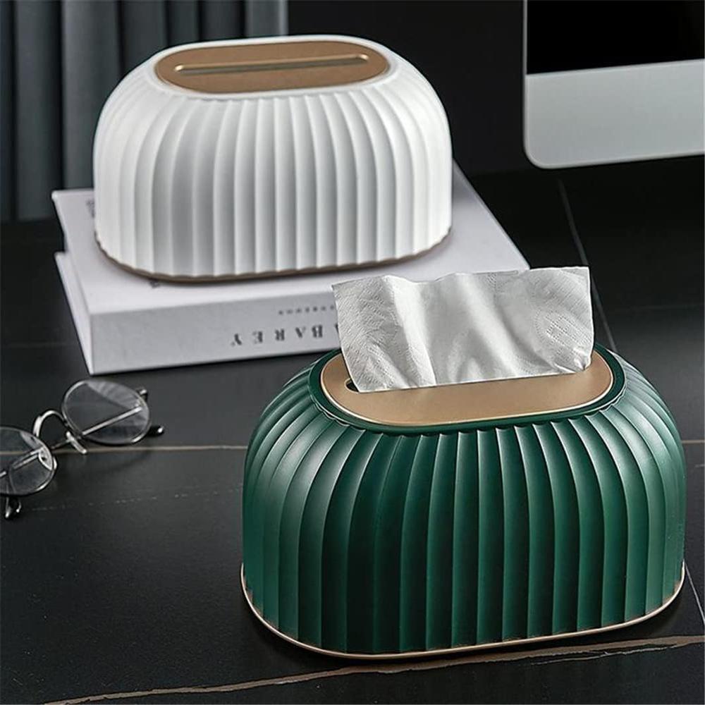 STRIPPED TISSUE BOX