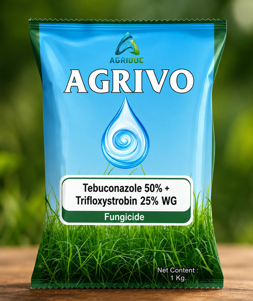 Tebuconazole 50% + Trifloxystrobin 25% WG Fungicide