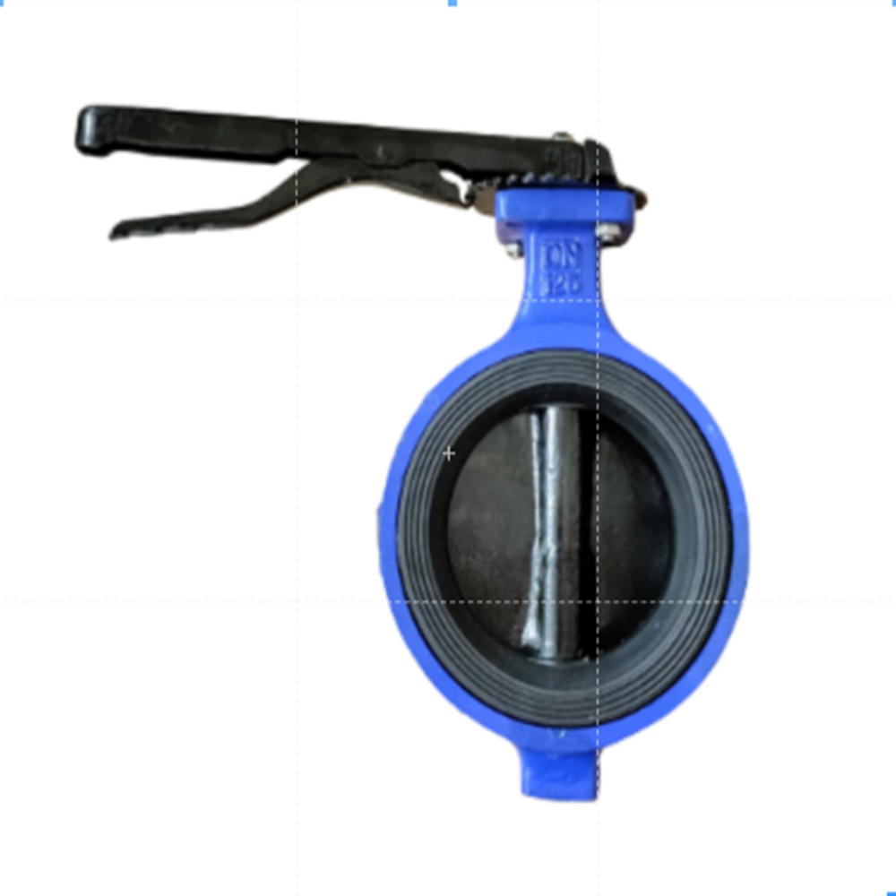 Polypropylene Pvdf Pump - Height: 30  Centimeter (Cm)