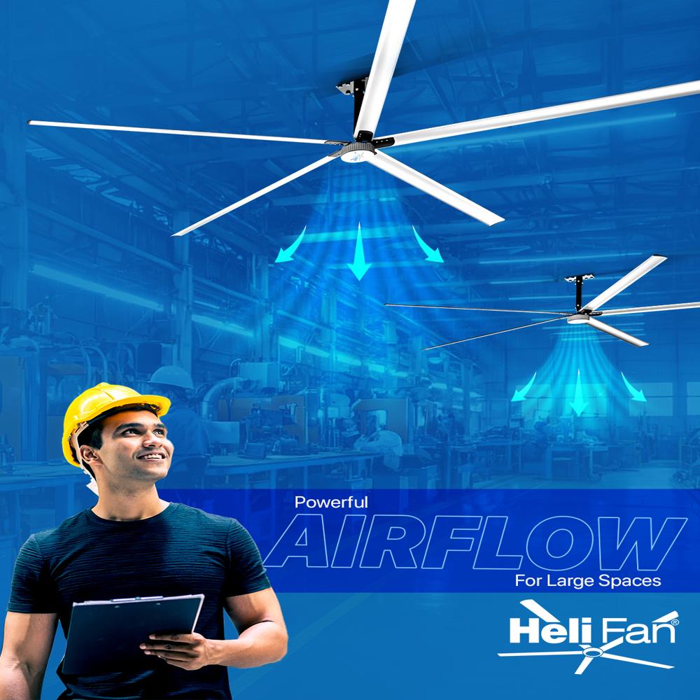 Large Ceiling Fan - Blade Diameter: 24 Foot (Ft)