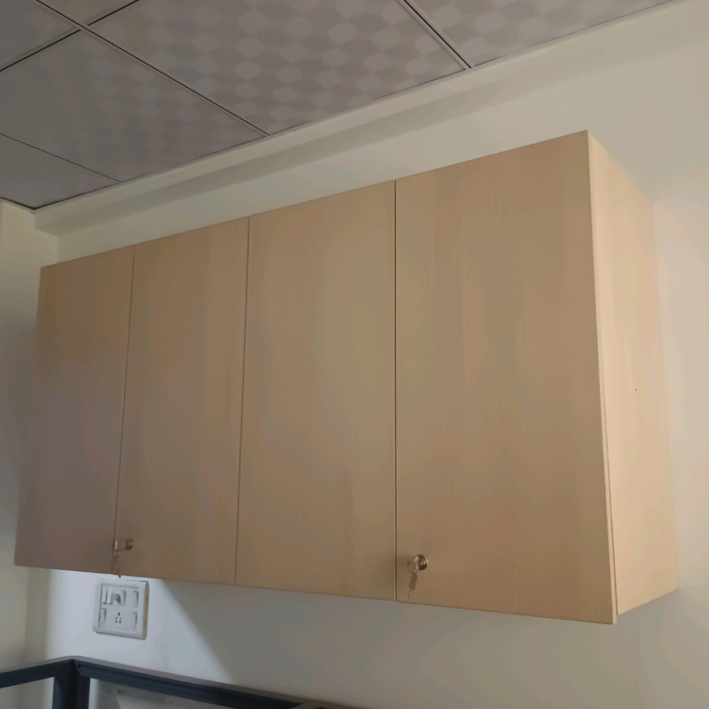 Wall Mounted Wooden Overhead Storage Cabinet