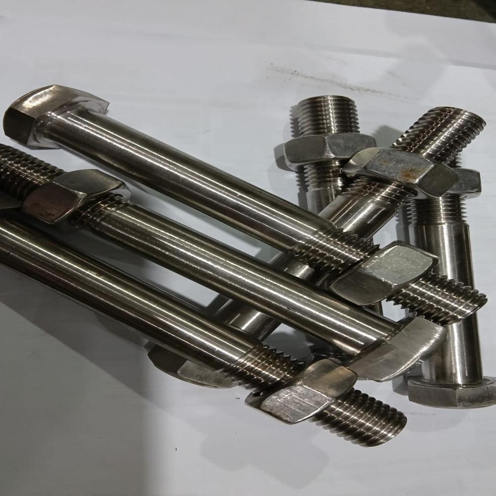 Stainless Steel Nuts And Bolts m12x100