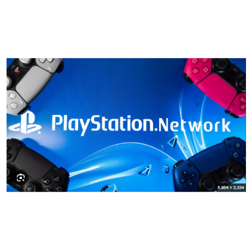SONY PLAYSTATION NETWORK