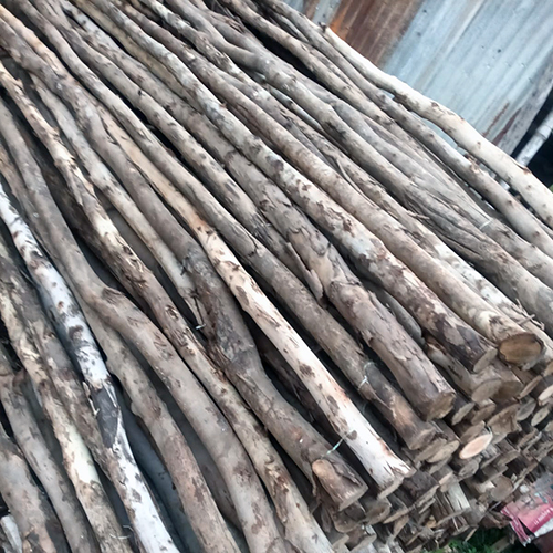 Bali Bamboo Sticks