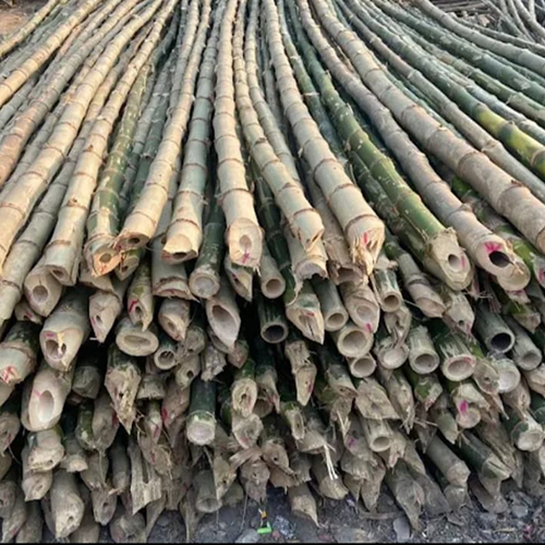 20 ft Raw Bamboo Sticks