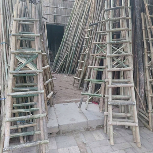 Bamboo for Ghodi Ladder
