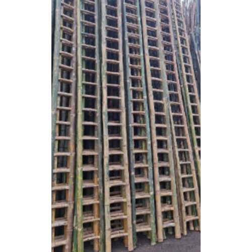Bamboo for Ladder