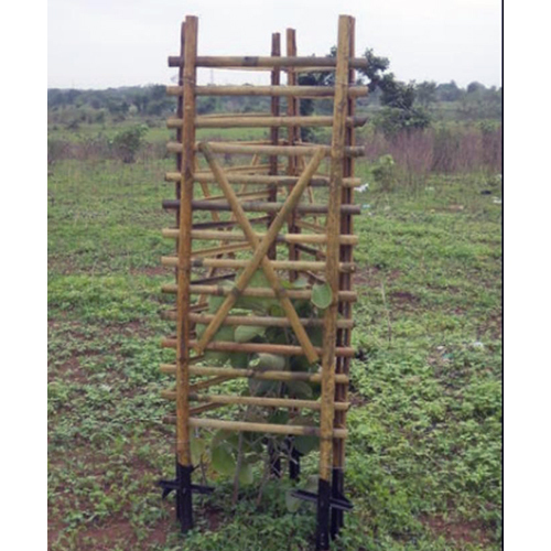 Bamboo for Tea Garden Trellis