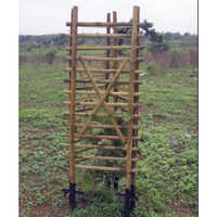 Bamboo For Tea Garden Trellis